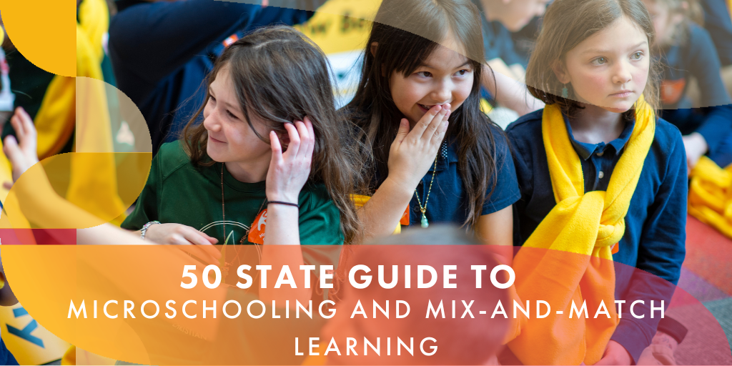 Educational Innovations: A 50-State Guide to Microschooling and Mix-and-Match Learning