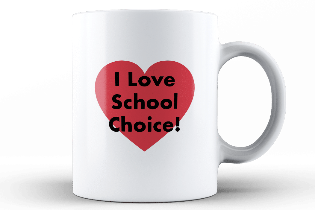 national-school-choice-week-shop-national-school-choice-week