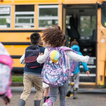 Your Ultimate Guide to Traditional Public School Transfer